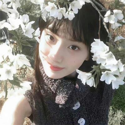 巴兰吉加：咆啸的荒野